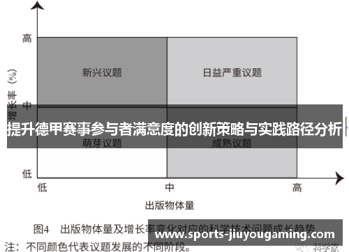 提升德甲赛事参与者满意度的创新策略与实践路径分析