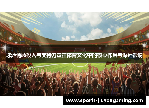 球迷情感投入与支持力量在体育文化中的核心作用与深远影响