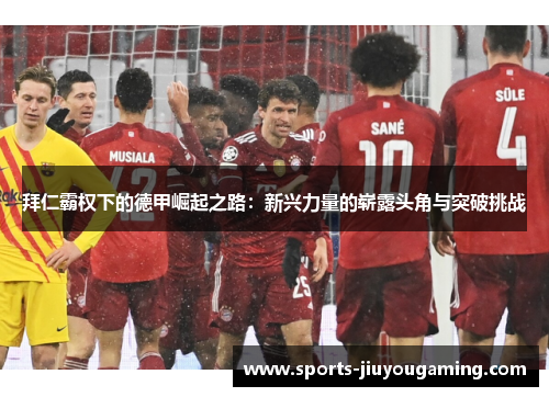 拜仁霸权下的德甲崛起之路：新兴力量的崭露头角与突破挑战