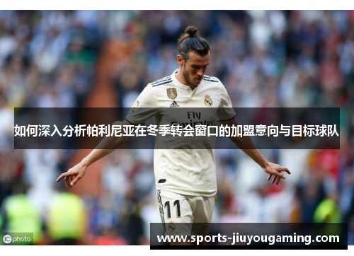 如何深入分析帕利尼亚在冬季转会窗口的加盟意向与目标球队