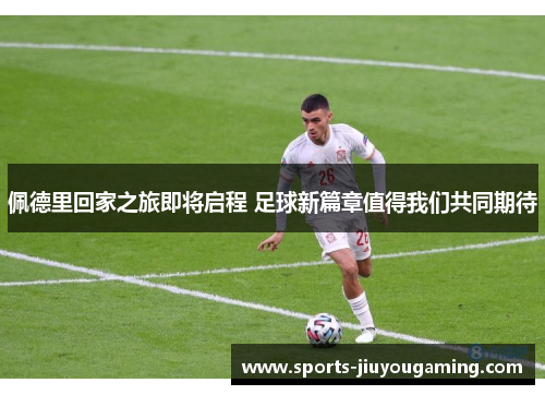 佩德里回家之旅即将启程 足球新篇章值得我们共同期待
