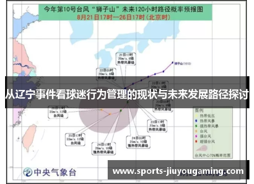 从辽宁事件看球迷行为管理的现状与未来发展路径探讨