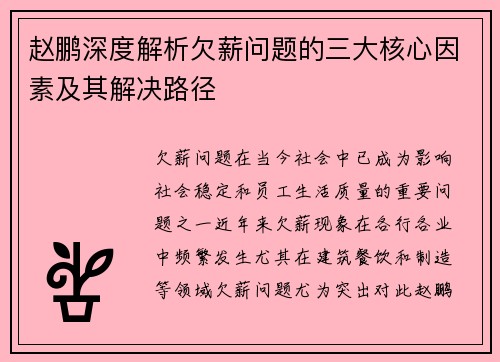 赵鹏深度解析欠薪问题的三大核心因素及其解决路径